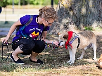 Adoptuj Warszawiaka  Wydarzenie promujące adopcję zwierząt. Organizator: Schronisko dla Bezdomnych Zwierząt "Na Paluchu". 18 sierpnia 2019, Park Raszyński w Raszynie. : park raszyński, adoptuj warszawiaka, na paluchu, schronisko dla zwierząt, centrum warszawy, raszyn